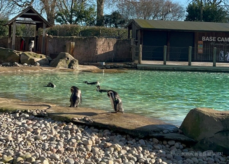 IMG_0249.JPG?type=w773