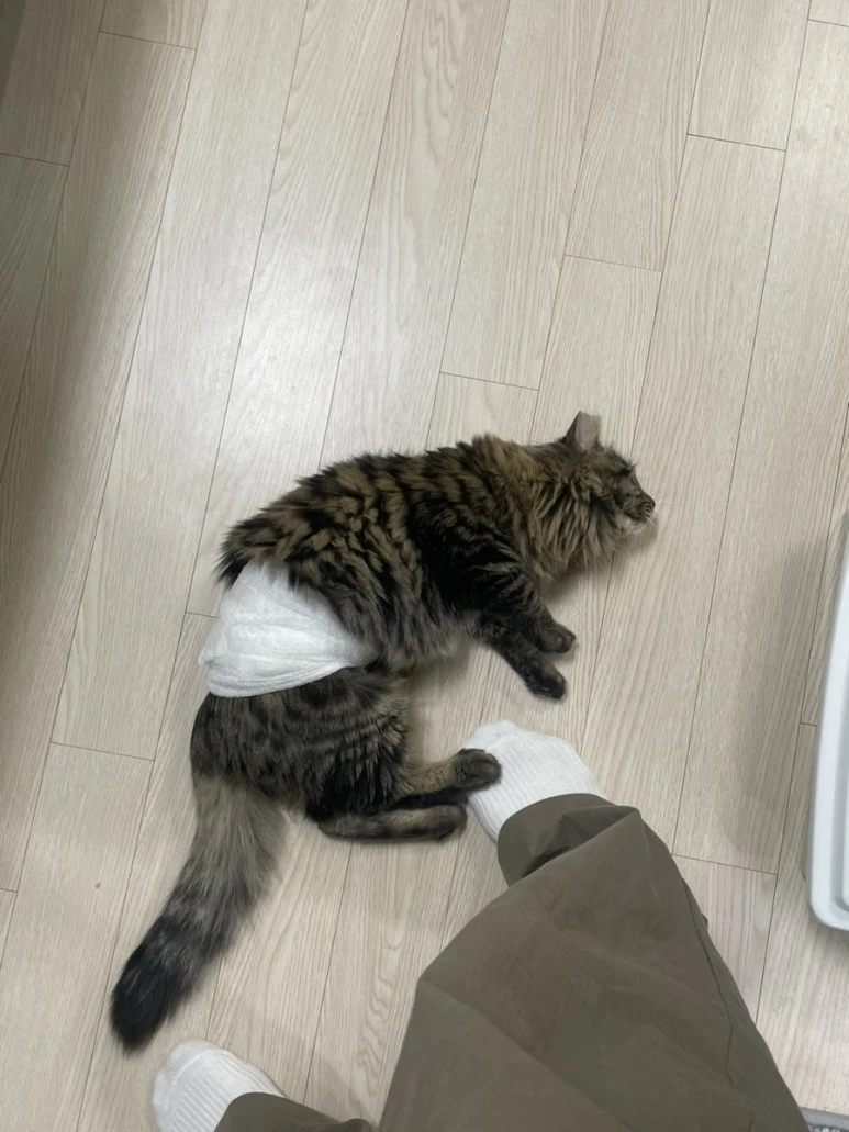 IMG_5942.jpg?type=w773