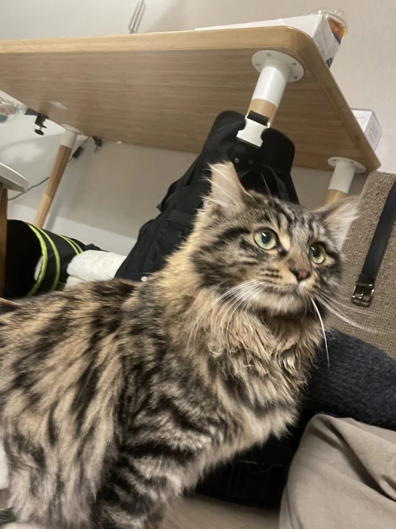 IMG_5936.jpg?type=w773