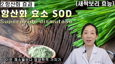 %EB%B8%94208-3.png?type=w466