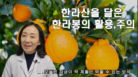 %EB%B8%94153-1.png?type=w466