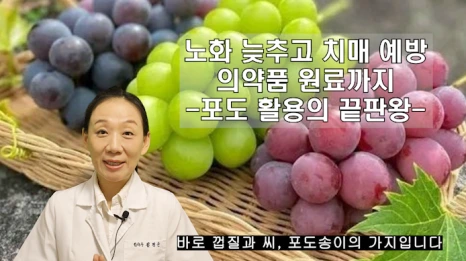 %EB%B8%94211-1.png?type=w466