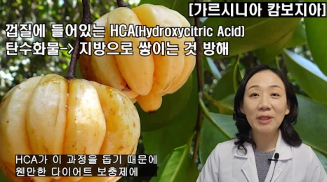 %EB%B8%94169-5.png?type=w466