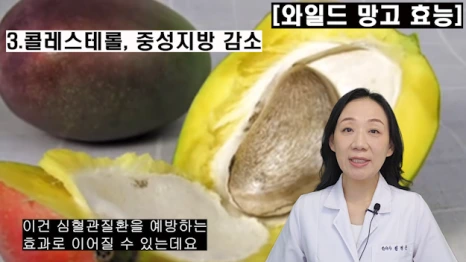 %EB%B8%94202-4.png?type=w466