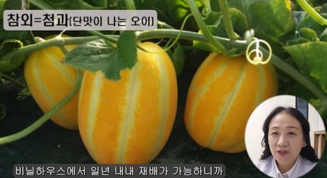 20240329_100054.png?type=w466