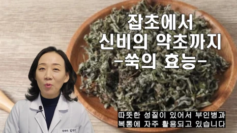 %EB%B8%94156-1.png?type=w466