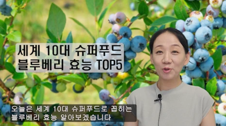 100-1(%EB%B8%94).png?type=w466