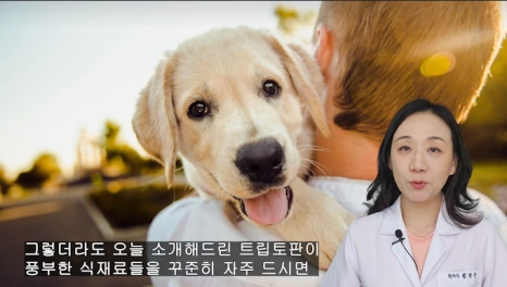 %EB%B8%94186-6.png?type=w466