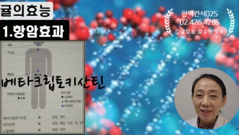 SE-0a0767dd-c41d-46da-a27b-9a70a26c2389.png?type=w466