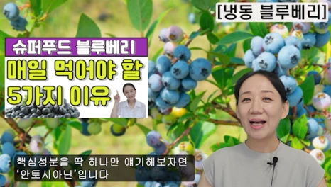 101-1(%EB%B8%94).png?type=w466