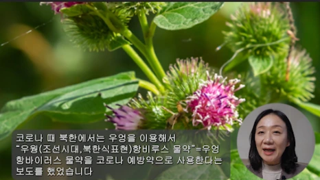 %EB%B8%943.png?type=w466