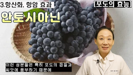 %EB%B8%94210-4.png?type=w466