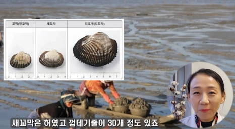 %EB%B8%942.png?type=w466