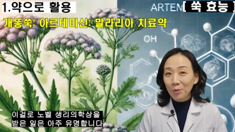 %EB%B8%94156-3.png?type=w466