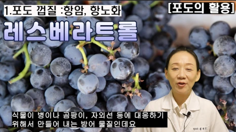 %EB%B8%94211-2.png?type=w466