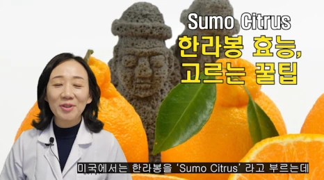 %EB%B8%94152-1.png?type=w466