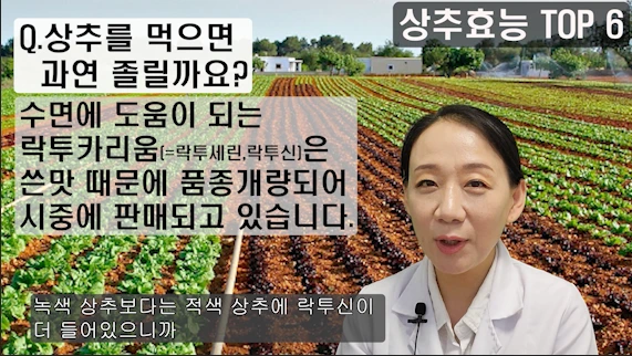 088%EB%B8%94-5.png?type=w966