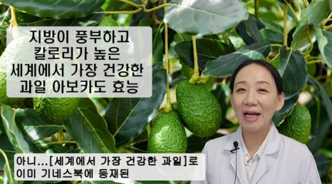 102-1(%EB%B8%94).png?type=w466