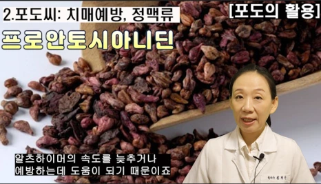 %EB%B8%94211-3.png?type=w466