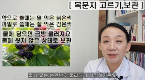 081-5(%EB%B8%94).png?type=w466