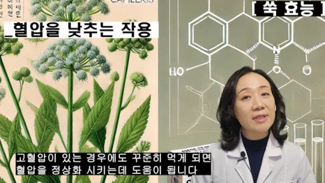 %EB%B8%94156-7.png?type=w466