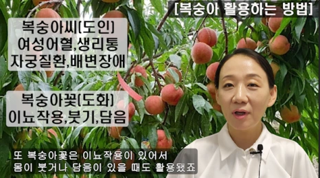 091-1(%EB%B8%94).png?type=w466