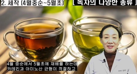 %EB%B8%94243-7.png?type=w466