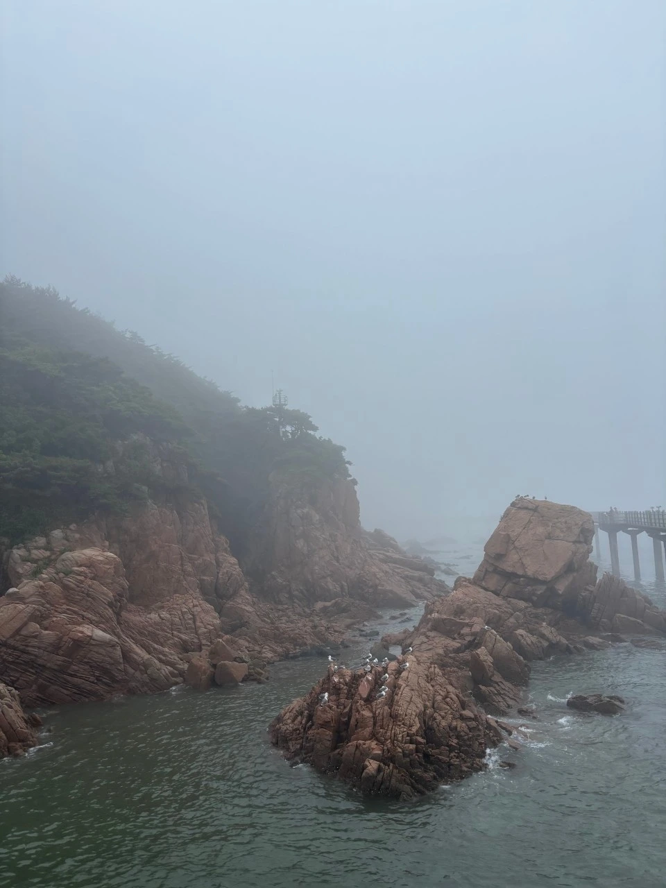 수지 우암산악회_사진_20250623_6.jpeg