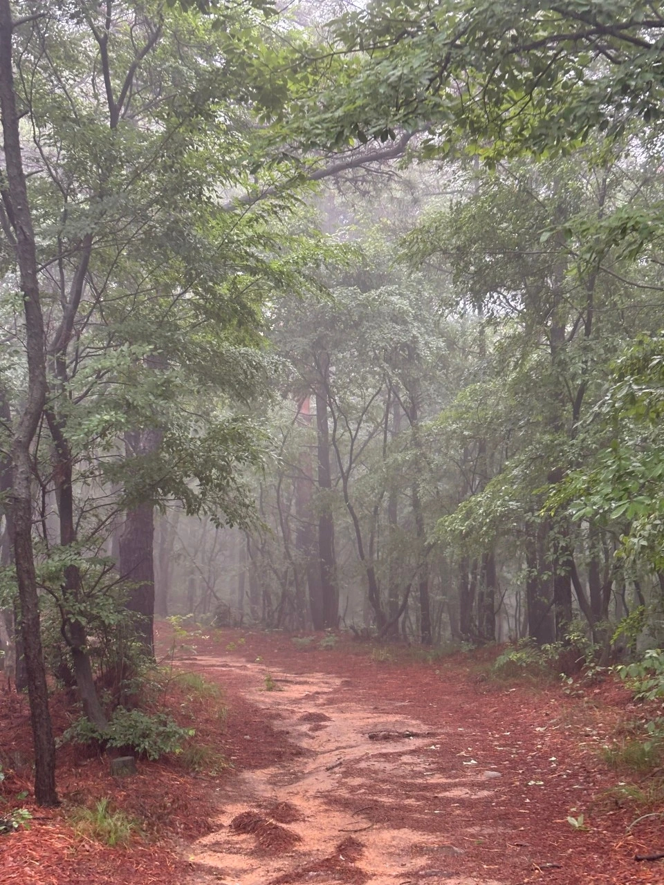 수지 우암산악회_사진_20250623_3.jpeg