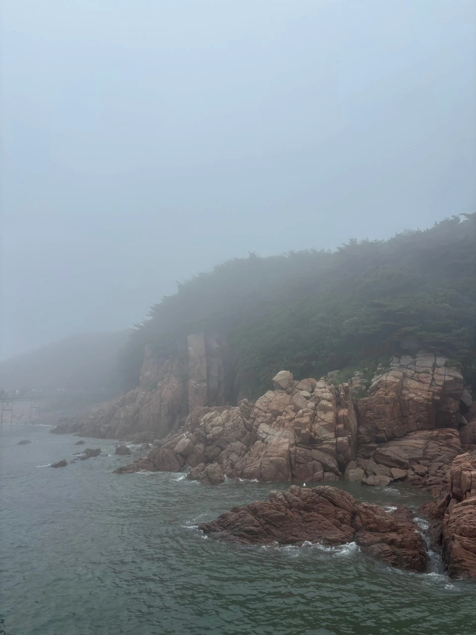 수지 우암산악회_사진_20250623_7.jpeg