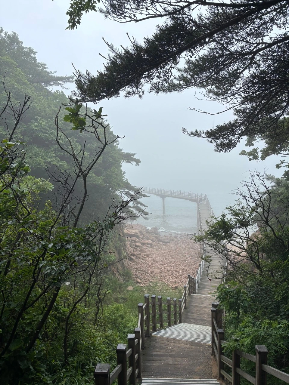 수지 우암산악회_사진_20250623_5.jpeg