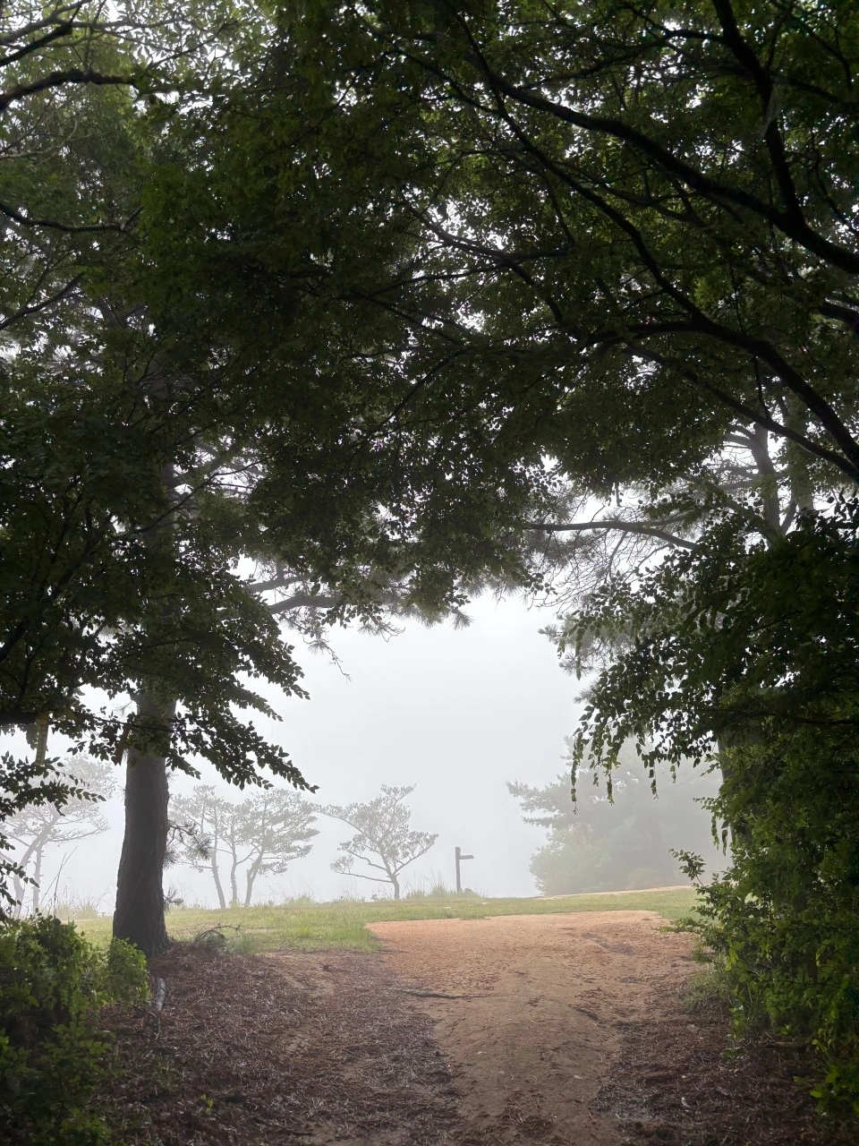 수지 우암산악회_사진_20250623_4.jpeg