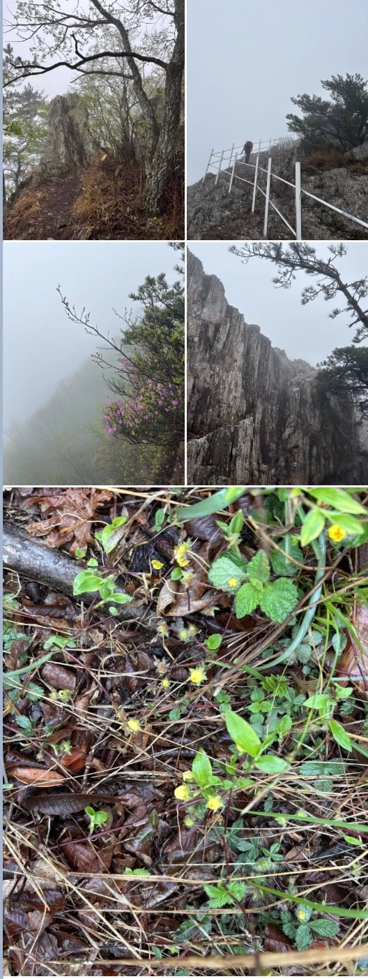 수지 우암산악회_사진_20250421_3.jpeg