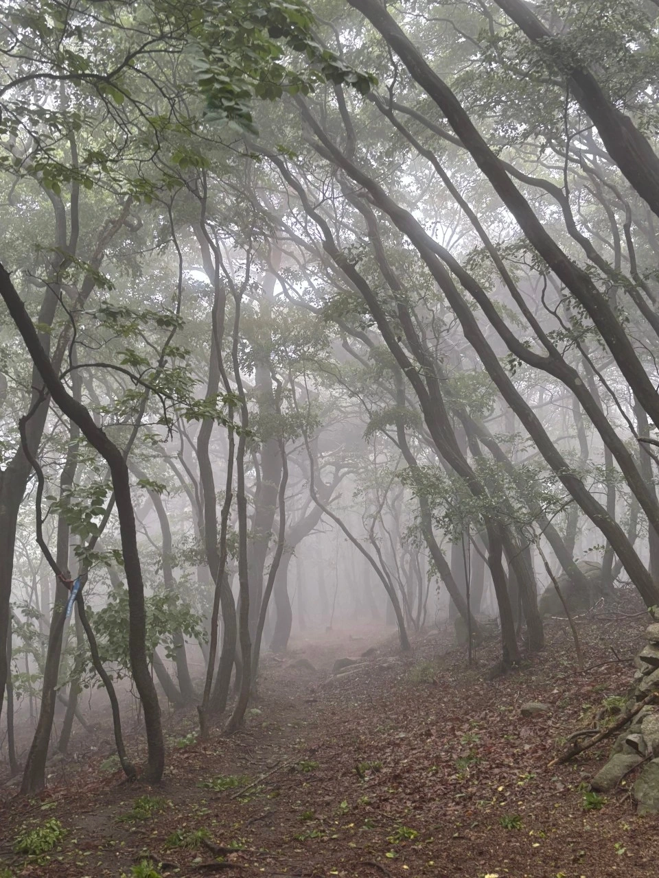 수지 우암산악회_사진_20250623_2.jpeg