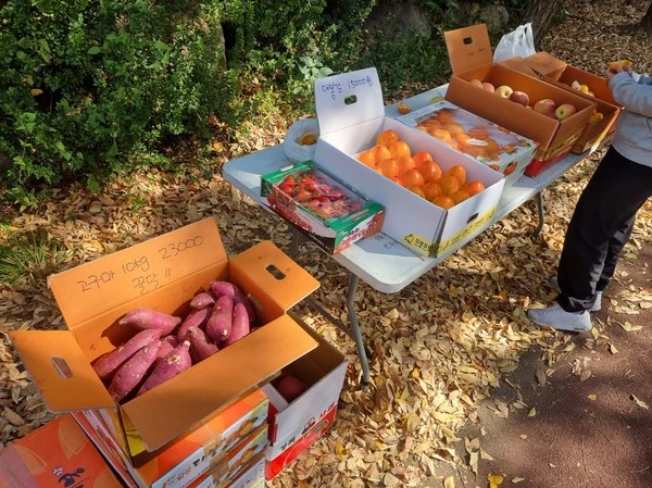 SE-be2d0c75-c1f7-459c-946d-f0a031596b13.jpg?type=w1600