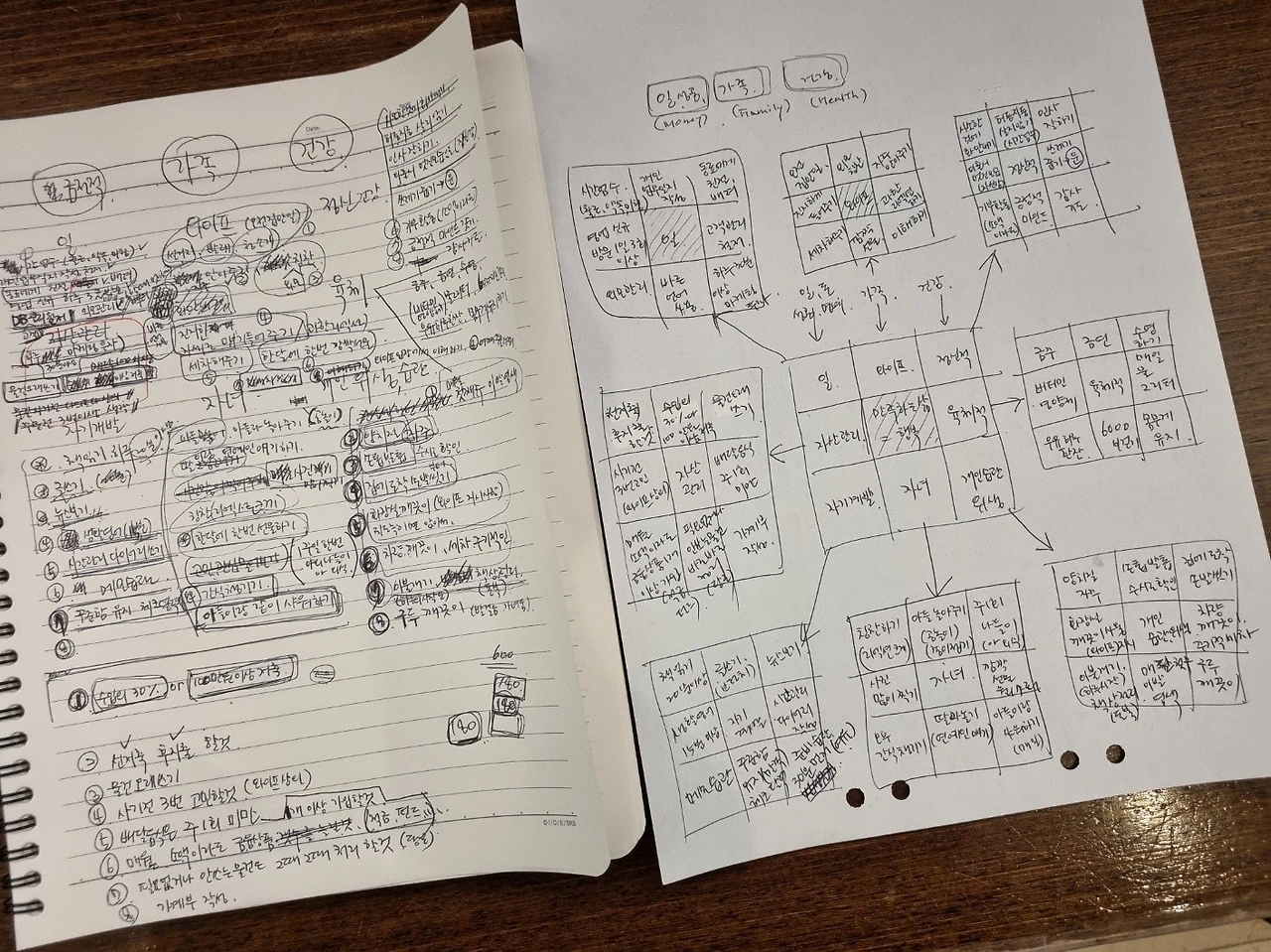 %EB%A7%8C%EB%8B%A4%EB%A5%B4%ED%8A%B8.jpg?type=w1600