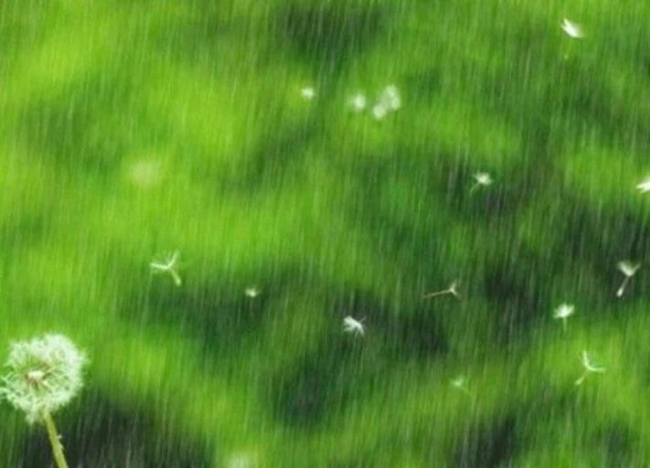 봅비내리는 날.jfif