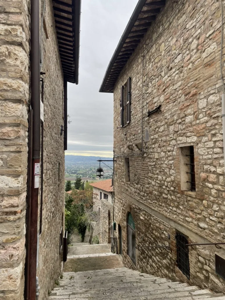 IMG_6332.jpg?type=w773