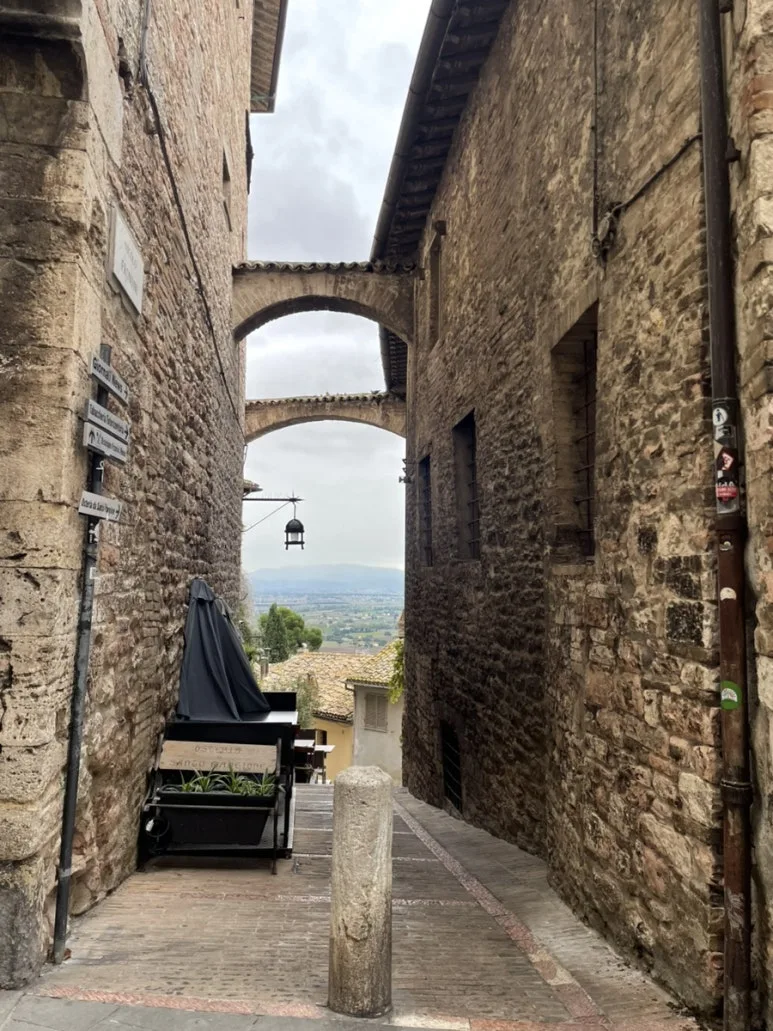 IMG_6321.jpg?type=w773