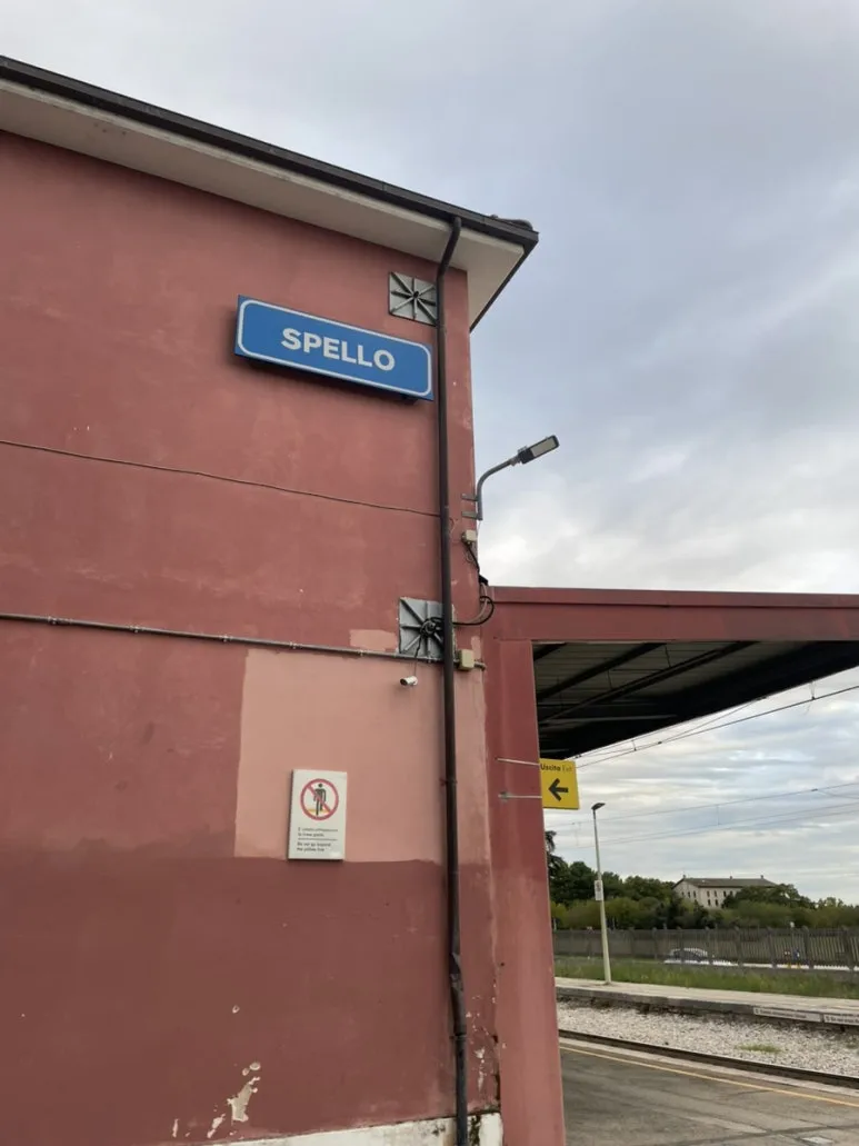 IMG_6337.jpg?type=w773