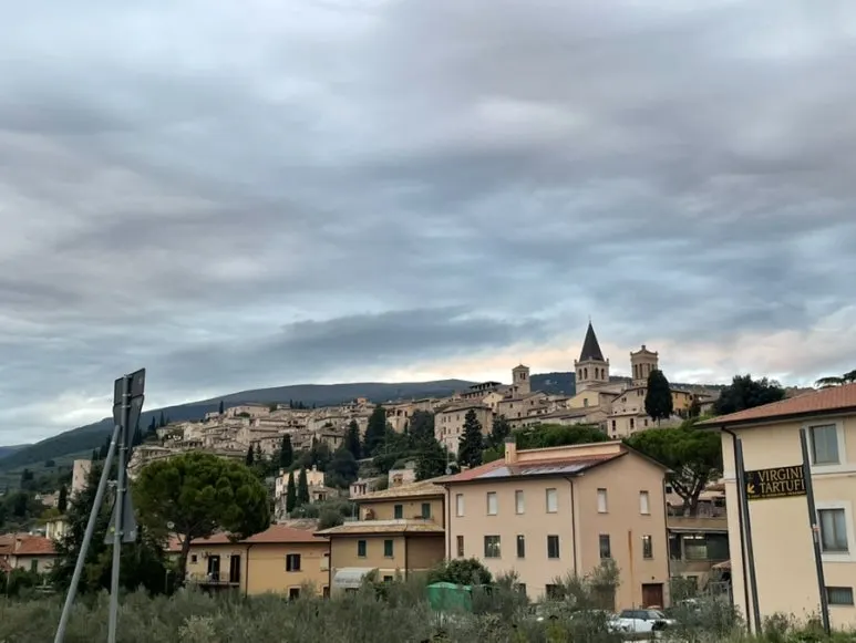 IMG_6355.jpg?type=w773