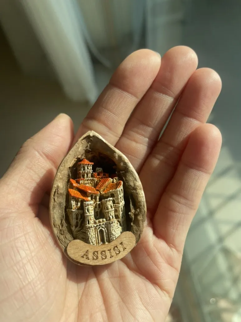 IMG_6043.jpg?type=w773