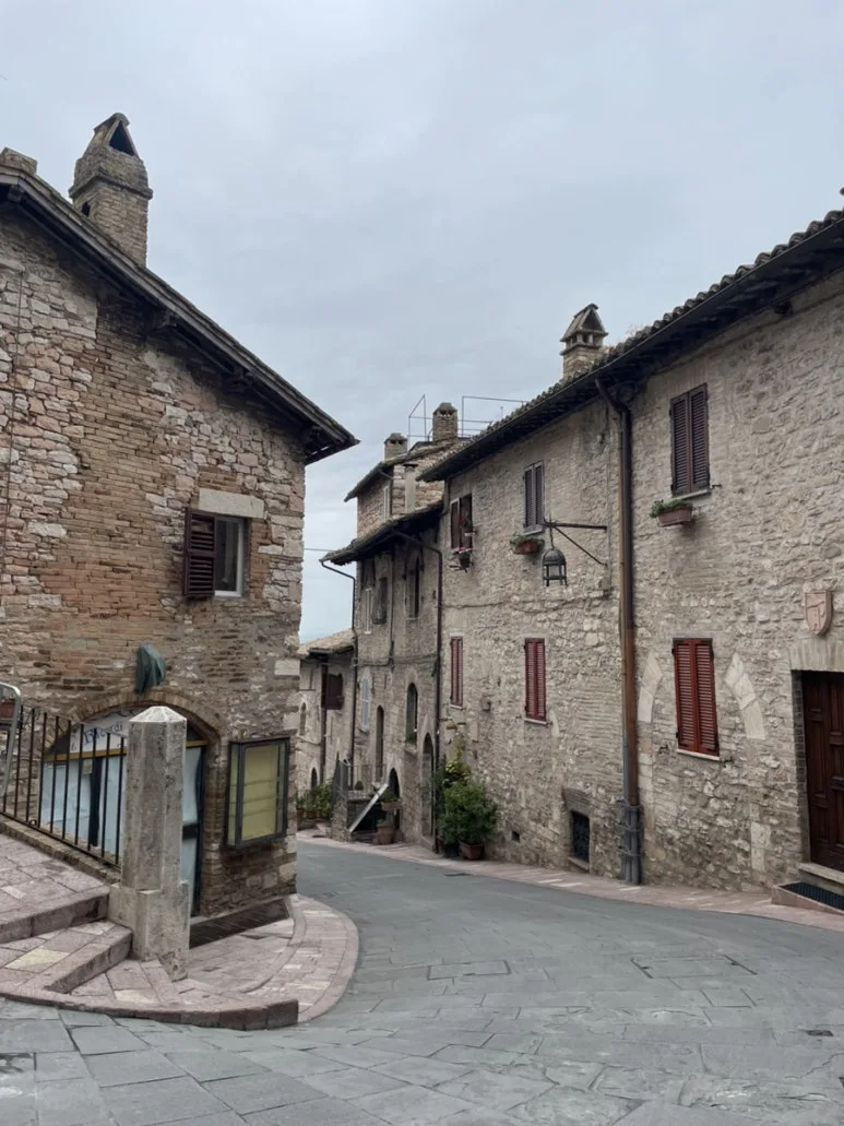 IMG_6306.jpg?type=w773