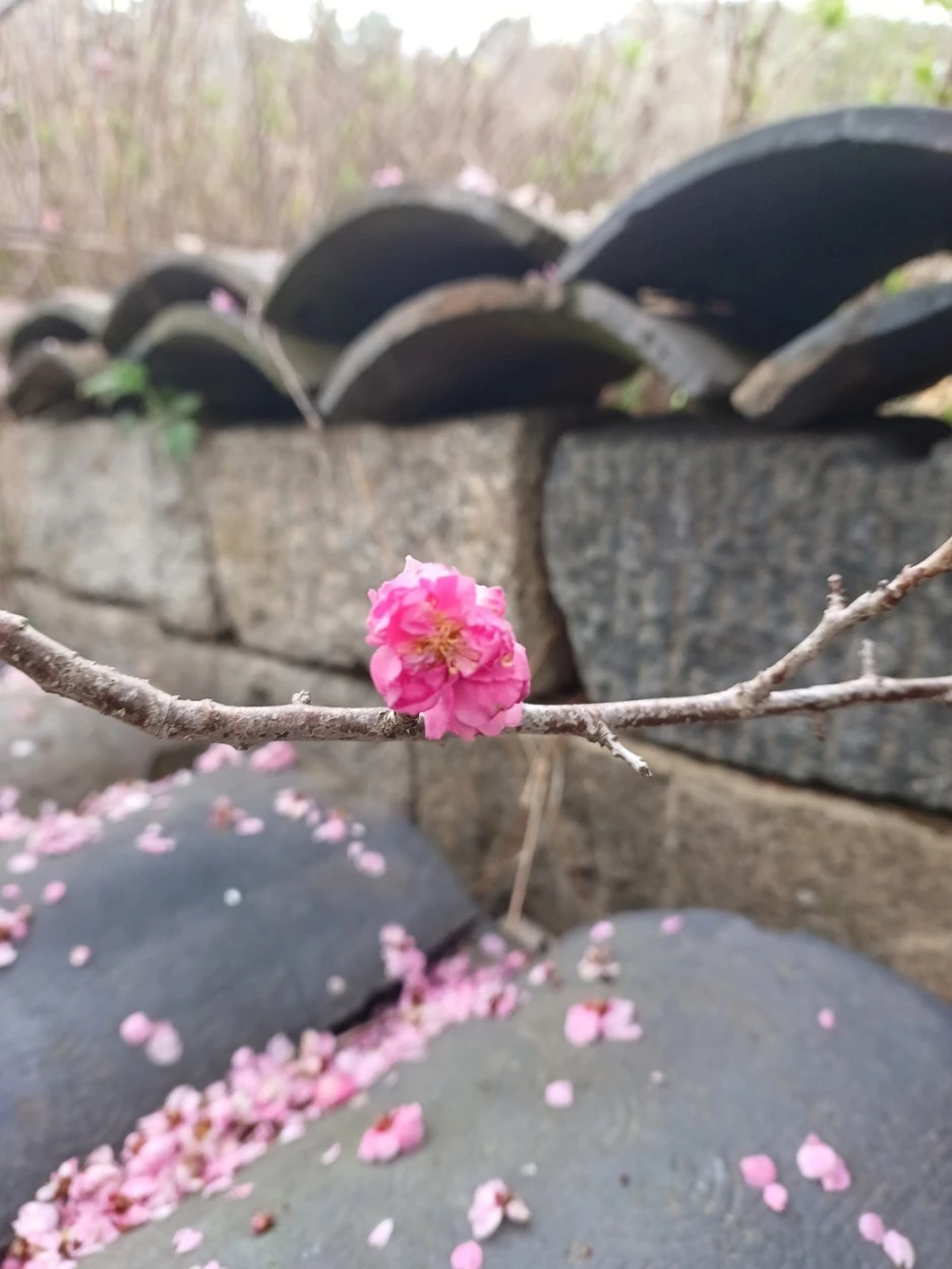 KakaoTalk_20230329_150210597.jpg?type=w1