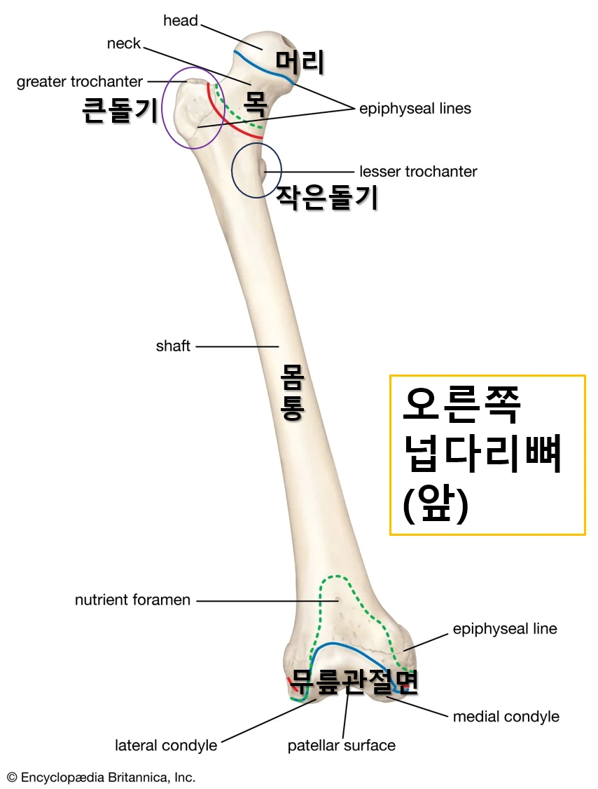 %ED%94%BC%EB%A8%B8_.png?type=w1