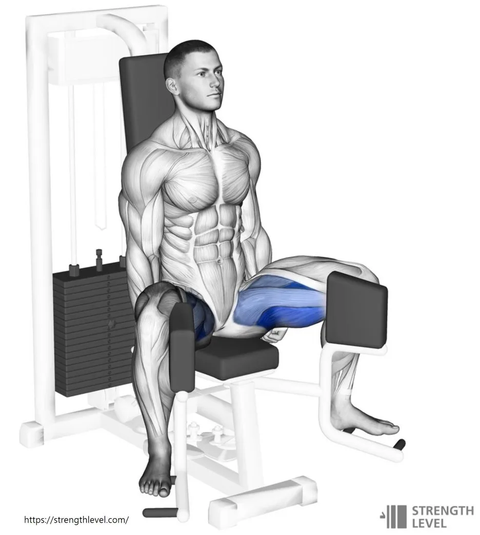 %EC%96%B4%EB%8D%95%EC%85%98%EB%A8%B8%EC%8B%A0.jpg?type=w1