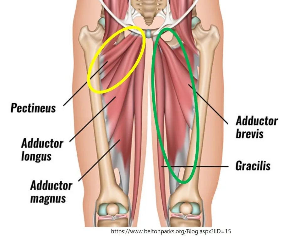 %EC%97%A52.jpg?type=w1