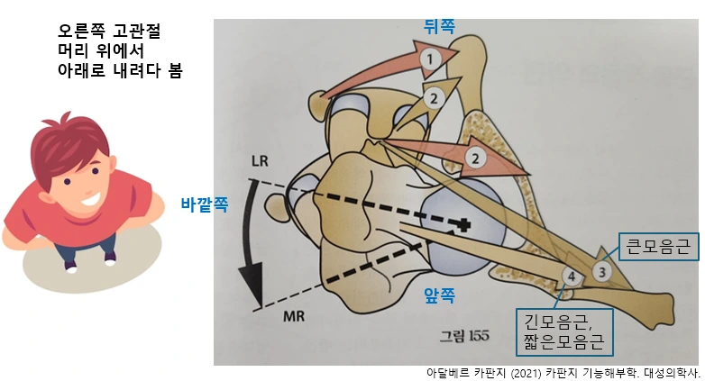 image.png?type=w3840