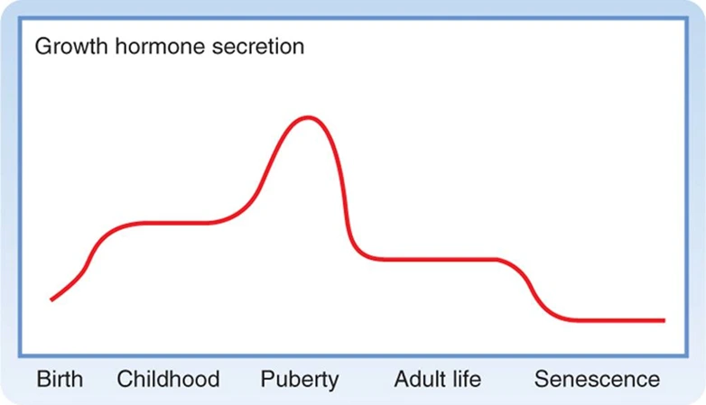 image.png?type=w1600