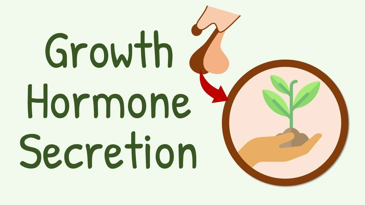 growth_hormone.jpg?type=w1600